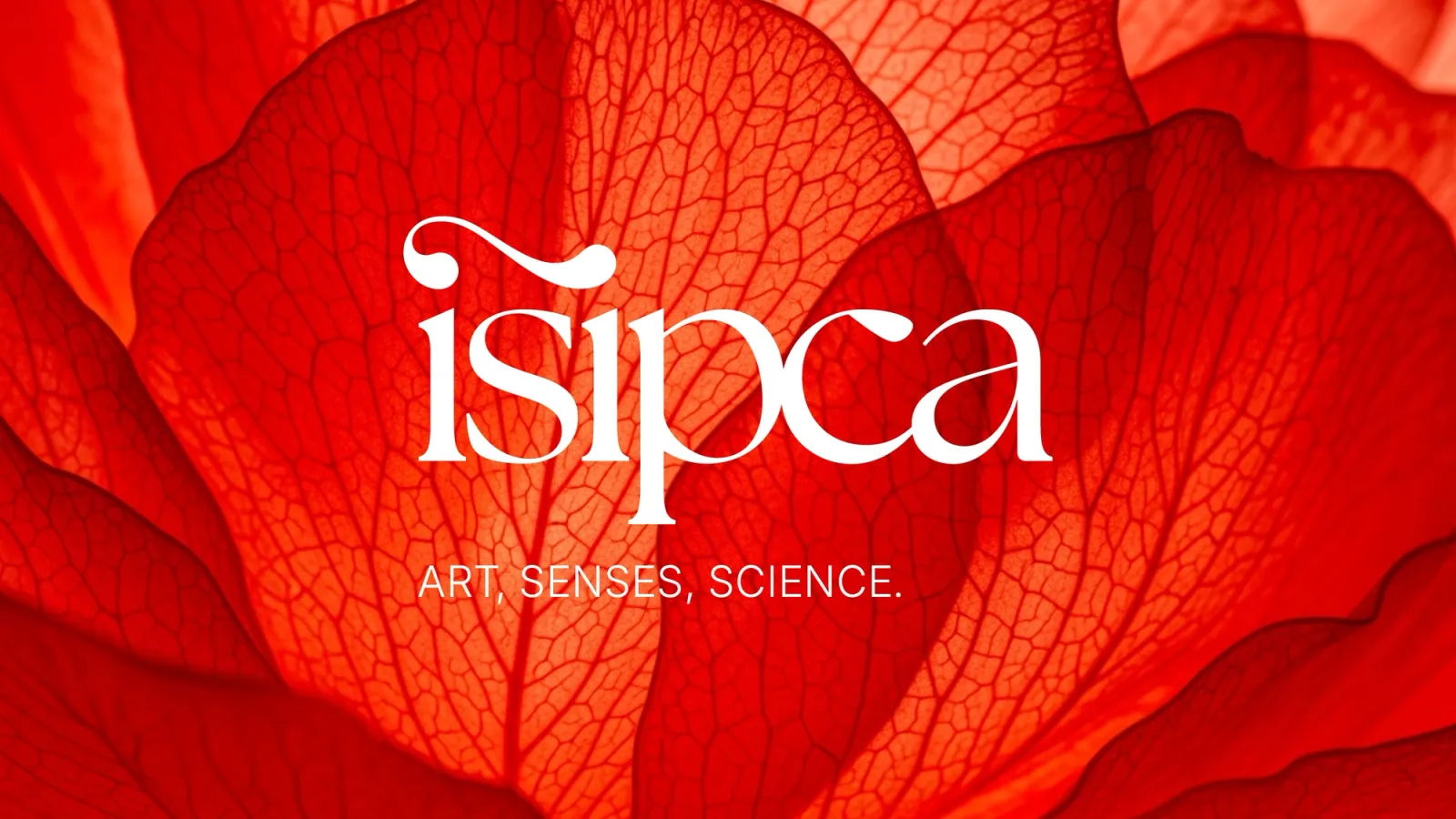 Art, senses, sciences