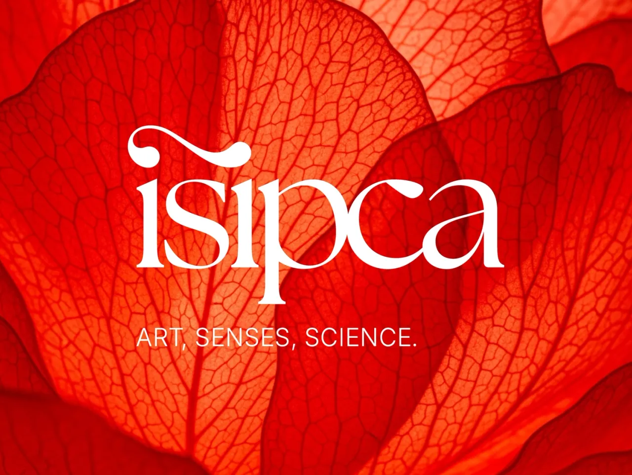Art, senses, sciences